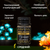 Рапе Гуарана Guarana