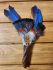 Parrot Ara Macaws feathers with Ayahuasca vine